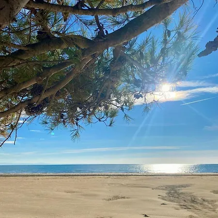 Appartement Sweet Dreams By The